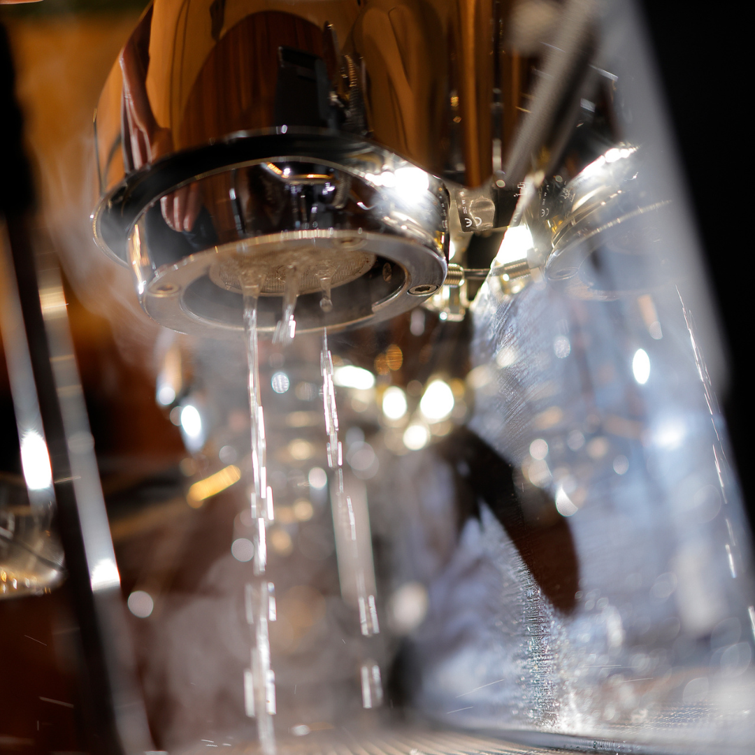 Barista Course - Advanced Level Espresso