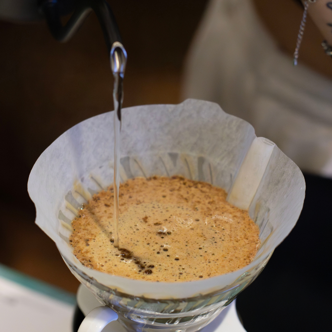 Barista Full Immersion + Open Your Coffee Shop