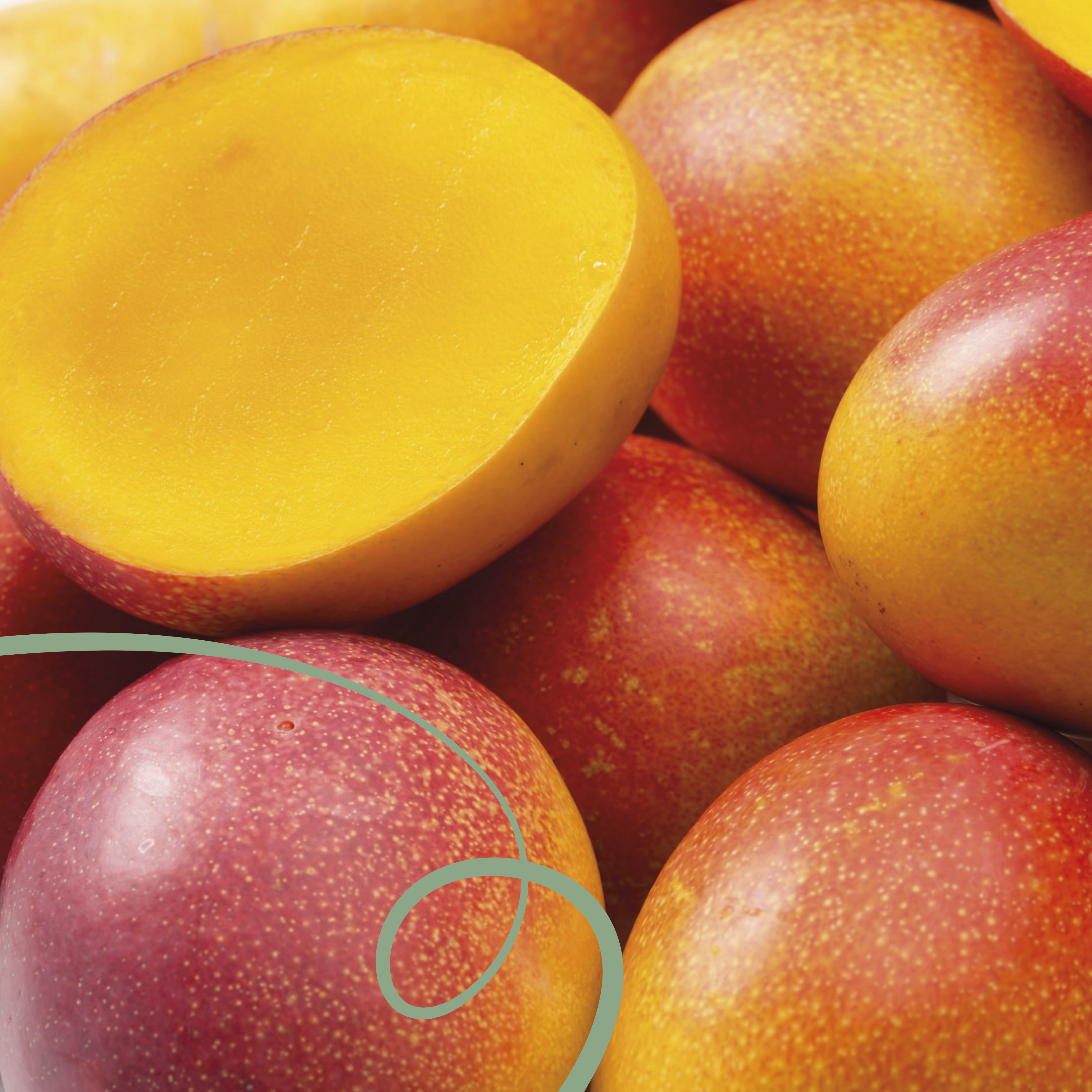 ANGIE, OSCAR, ANIBAL HERNANDEZ