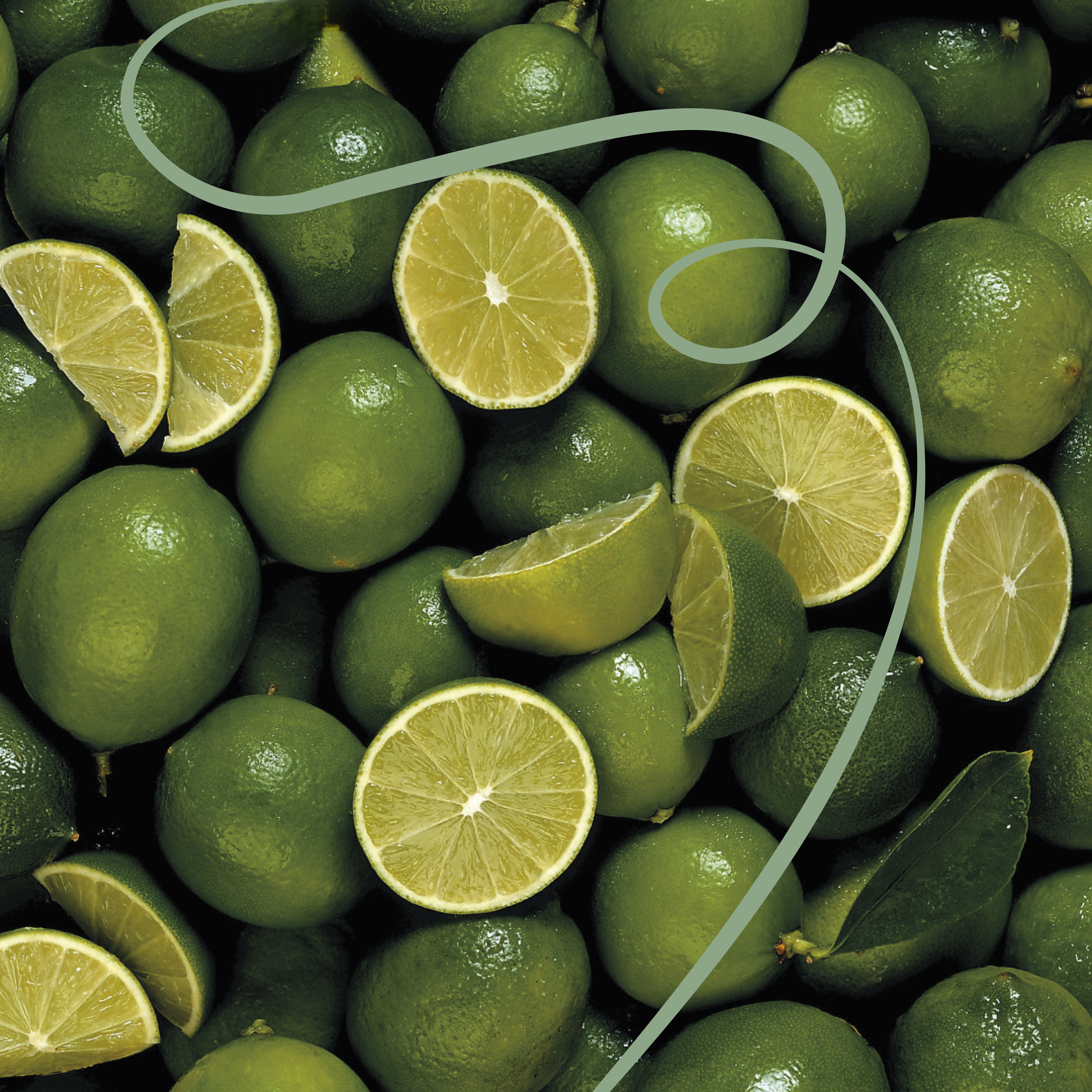 Panama My Little Farm