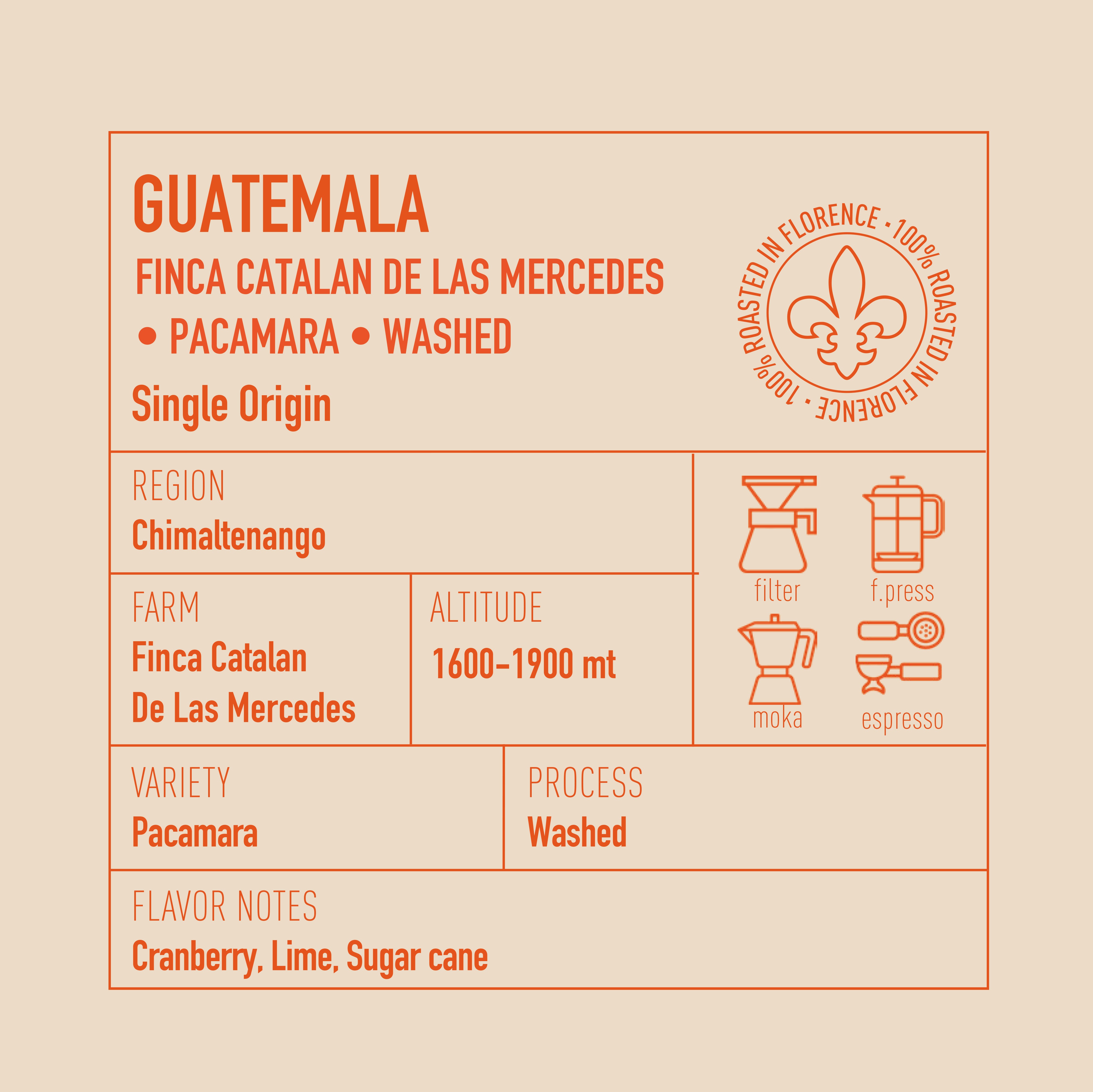 Guatemala Finca Catalan De Las Mercedes Pacamara Lavato