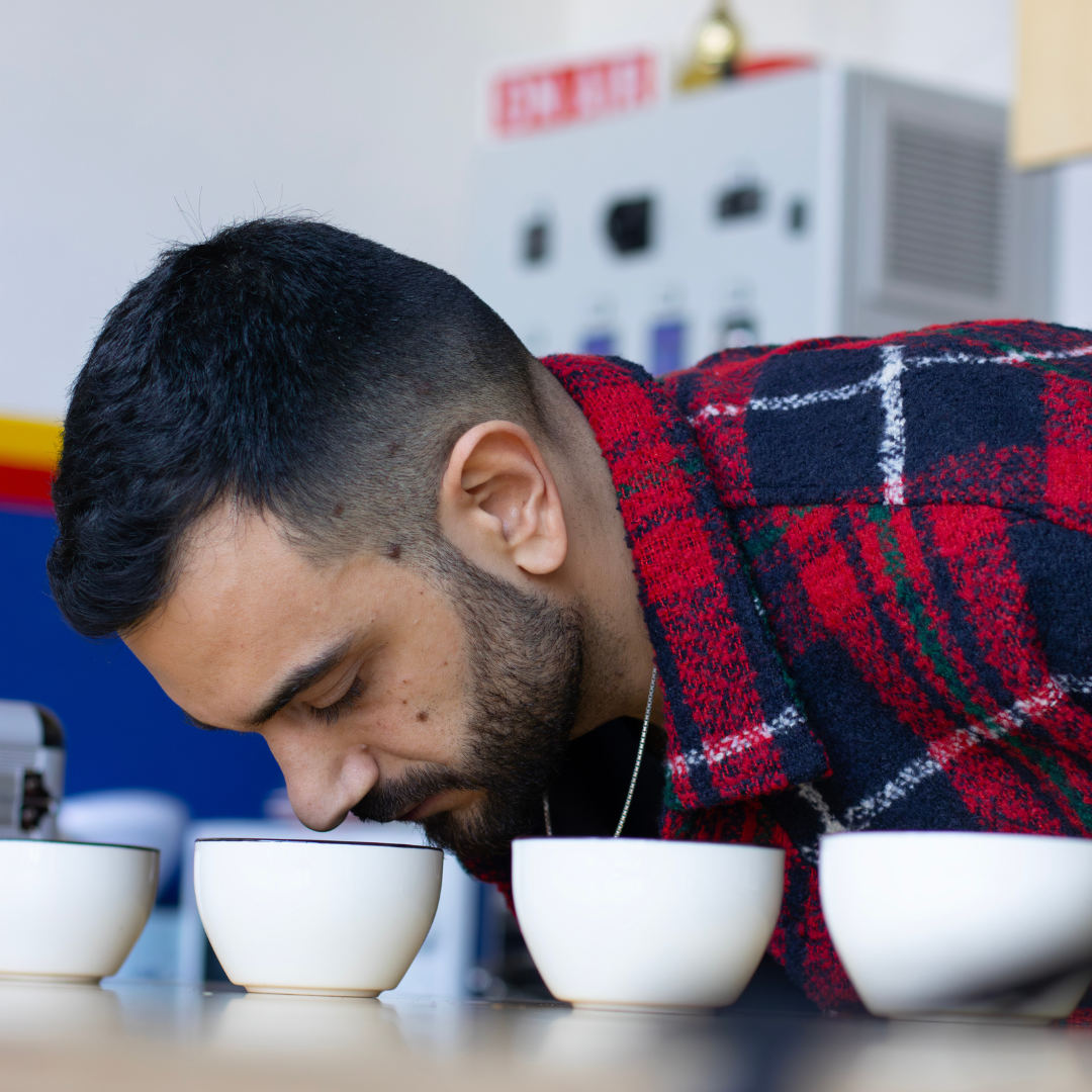 The Coffee Tasting - Individual Mini Course