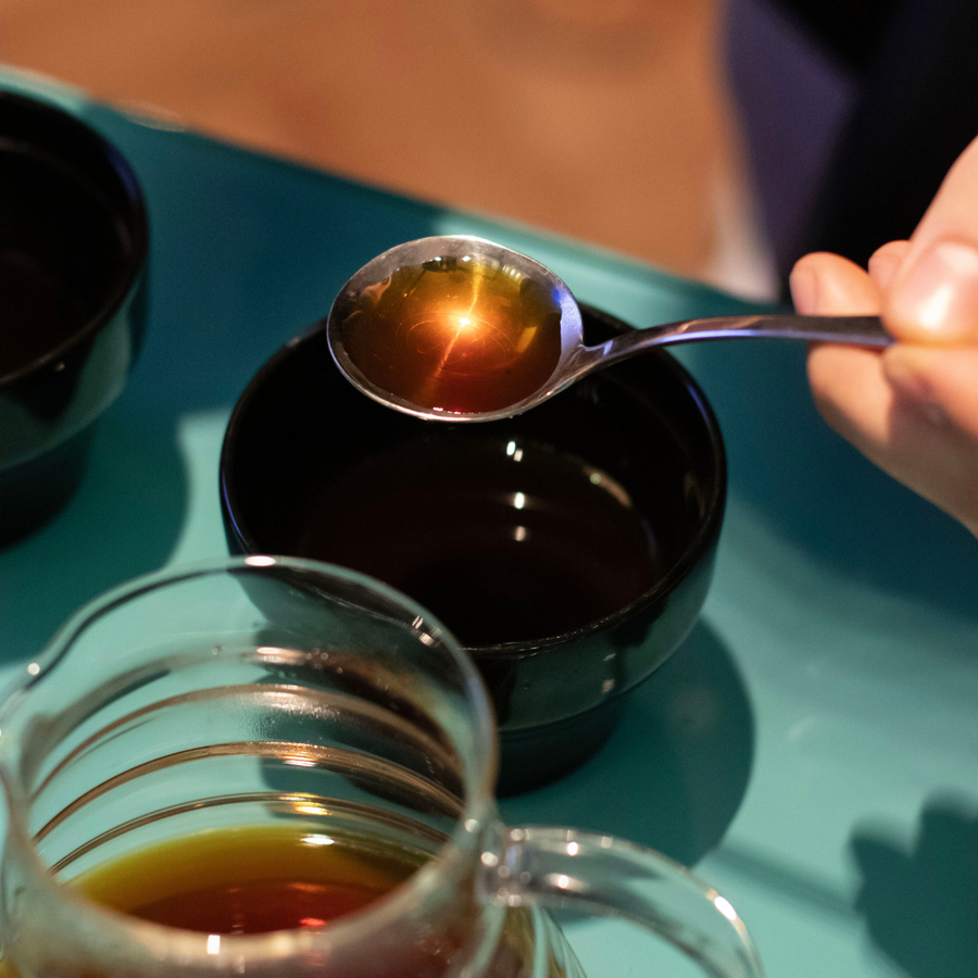 La degustazione del caffè in cupping