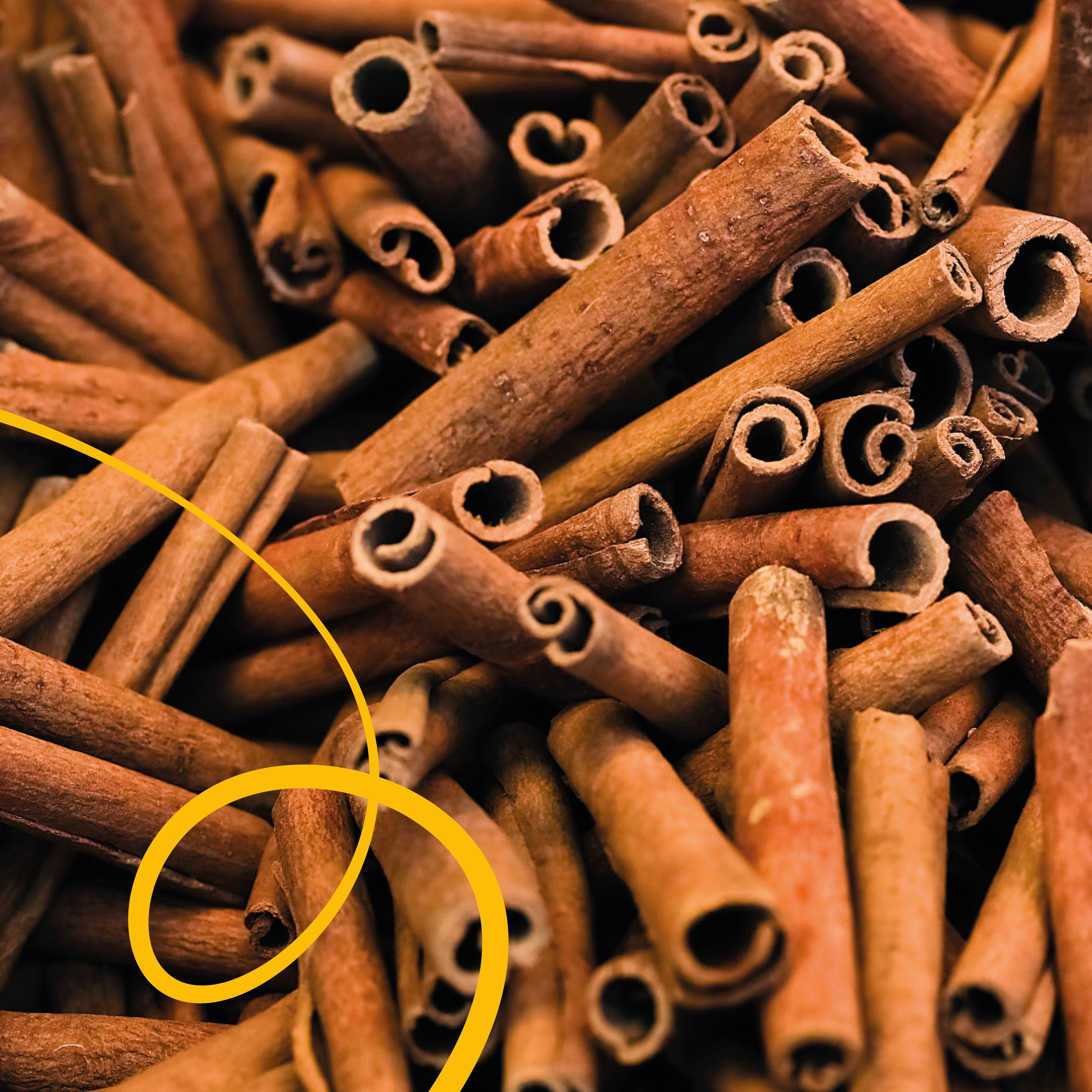 Jingle Bells - Winter Coffee Blend