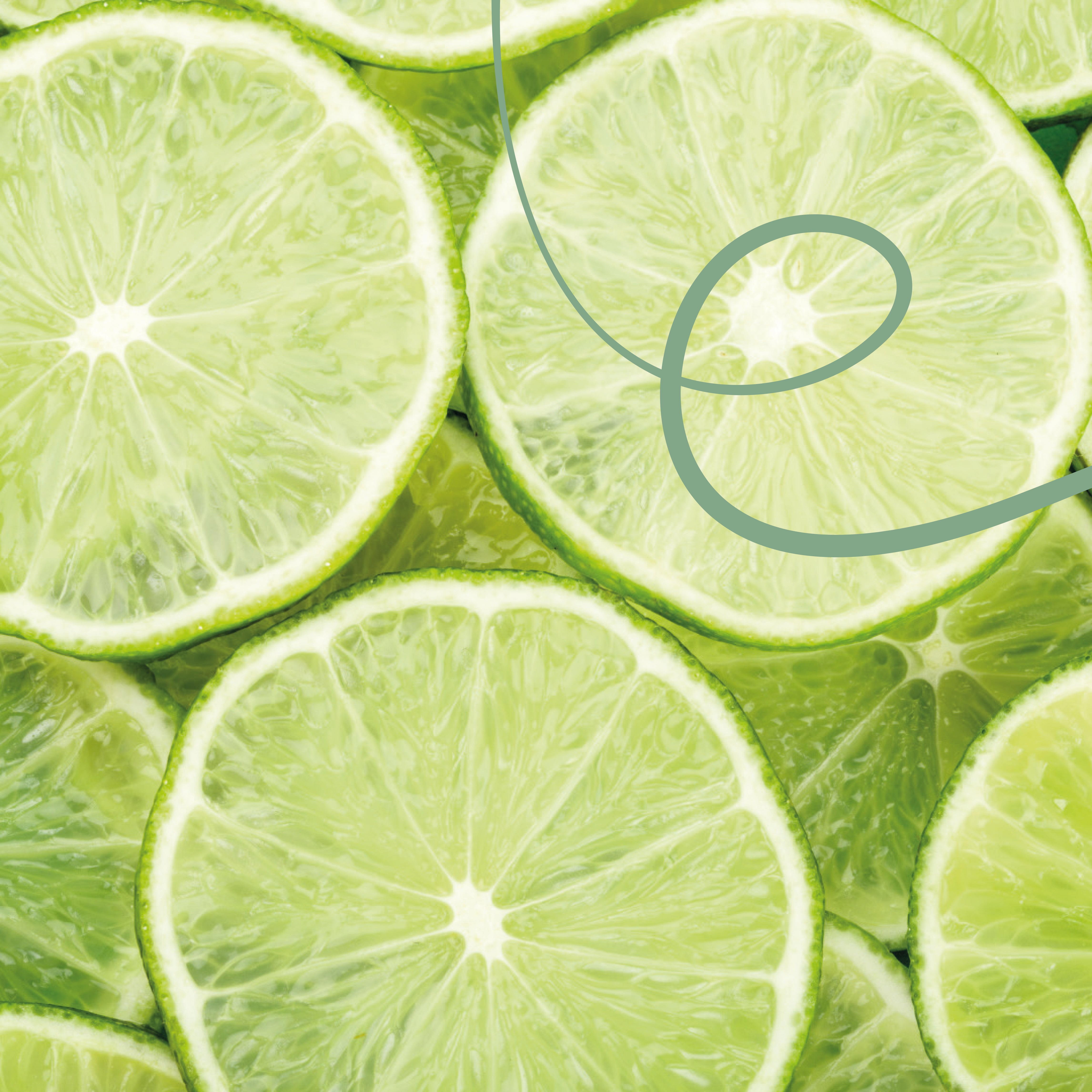 Honduras El Puente Farm Batian