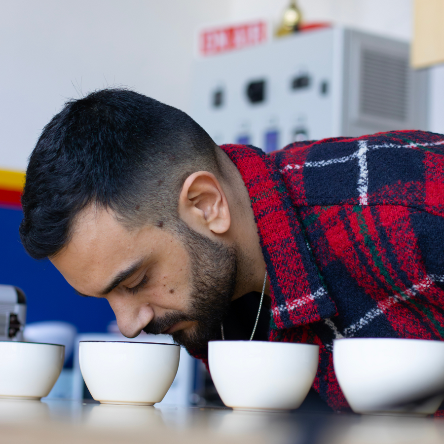 Professional Coffee Tasting - Individual mini-course